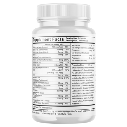 Noocube Brain Productivity Pills, Cognitive & Memory, Premium Formula - 4 Pack